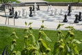 Green plants with many chessmen on the street chessboard