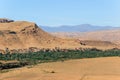 Green plants in morocco dades valley