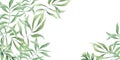 Green plants. Oleander branches. Template with olive leaves. Horizontal frame with copy space for text. Watercolor Royalty Free Stock Photo
