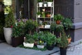 Green Plants in pots placed on table in street flower shop. Shop for houseplants and potted flowers. Street cozy decoration of flo Royalty Free Stock Photo