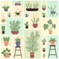 Green plants in pots set for floral design vector illustration. Cartoon different houseplants for home garden and