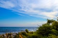 Green plants on the rocky shore of the sea and blue sky with clouds Royalty Free Stock Photo