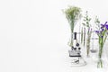 Green plants and scientific equipment in biology laborotary. Microscope with test tubes / glass containers and clamp and green