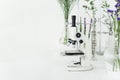 Green plants and scientific equipment in biology laborotary. Mic Royalty Free Stock Photo