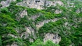 The green plants with strong vitality on the stone mountain Royalty Free Stock Photo