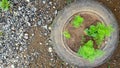 Green plants in tires on top view