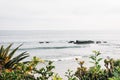 Green plants and view of the Pacific Ocean at Crescent Bay Point Park, in Laguna Beach, Orange County, California Royalty Free Stock Photo