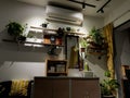 Green plants on white shelves on white wall in the room. Plant shelfie, indoor plants concept