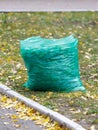 A green plastic bag with a hole in it Royalty Free Stock Photo