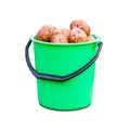 Green plastic bucket with fresh potato crop. Close up. Isolated on white background Royalty Free Stock Photo