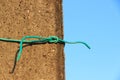 Green plastic cable sheath tied to electric pole