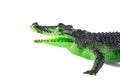 Green plastic crocodile isolated on white background. Plastic crocodile toy