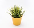 Green plastic decorative flower in a yellow plastic pot is on a white background Royalty Free Stock Photo