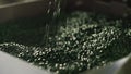 Green plastic granules on extruder for making plastics on extrusion manufactory