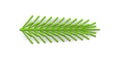 Green plastic horizontal spruce branch with dense needles artificial Christmas design vector