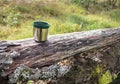 Green plastic thermo stainless steel mug put on a log on sunny day Royalty Free Stock Photo