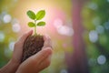 Green pledge Hand clutches a tree against a blurred nature backdrop