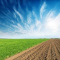 Green and black fields and sunset in blue sky