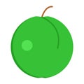 Green plum fresh juicy fruit icon, vector illustration