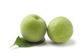 green plum Royalty Free Stock Photo