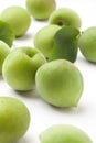 green plum Royalty Free Stock Photo