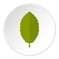 Green plum leaf icon circle