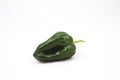 Green poblano chile pepper