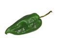 Green Poblano Chili Royalty Free Stock Photo