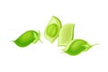 Green Pod of Chickpea as Annual Legume Plant with Green Proteinic Pea Inside Vector Illustration