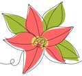 Green poinsettia branch with leaves and red flower, one line style. Floral collection of bright elegant plants for New Royalty Free Stock Photo