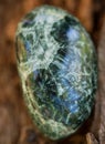 Green polished Seraphinite specimen from Eastern Siberia in Russia on fibrous tree bark. Gem quality clinochlore of