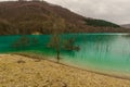 Green pollution lake