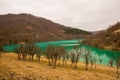 Green pollution lake Royalty Free Stock Photo