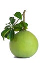 Green pomelo with branches and leaves Isolated on white background Royalty Free Stock Photo