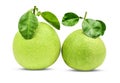 Green pomelo fruit with leaves  on white background with clipping path Royalty Free Stock Photo