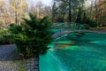Green pond in the Kosciuszko Park