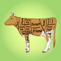 Green pop art background. The cow for the restaurant is divided into parts, pieces of bull beef carcass, scheme. Vector