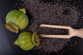 Green poppy heads on dark seeds. Poppy in the kitchen prepared for tasty dishes