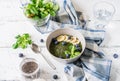 Green porridge in bawl with main ingredients: chia seeds, green, water Royalty Free Stock Photo