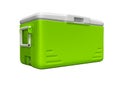 Green portable refrigerator for drinks isolated 3D render on white background no shadow
