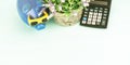 Green pot plant between outdated calculator and money box