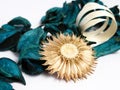 Green Potpourri Royalty Free Stock Photo