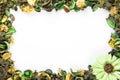 Green Potpourri border with copy space Royalty Free Stock Photo