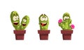 Green Potted Cactus with Different Emotions Set, Funny Emojis Plant Characters Cartoon Vector Illustration