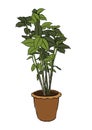 Green potted plant illustration, decoration interior natural vector Royalty Free Stock Photo