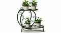 Green Potted Plant Stand - Spiral Group Style - Tranquil Gardenscapes