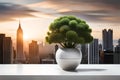 Green potted plant on white table