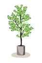Green potted tree growing currency with dollar sign on white background, vector illustration