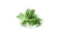 Green powder explosion on white background. Royalty Free Stock Photo