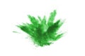 Green powder explosion on white background. Royalty Free Stock Photo